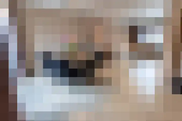 Burgemeester Strick van Linschotenstraat 12 Maarssen thumbnail 11