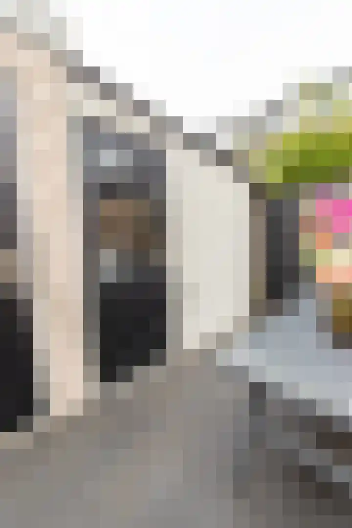 Burgemeester Strick van Linschotenstraat 12 Maarssen thumbnail 23