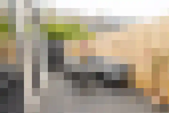 Burgemeester Strick van Linschotenstraat 12 Maarssen thumbnail 24