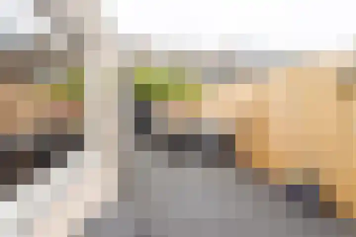 Burgemeester Strick van Linschotenstraat 12 Maarssen thumbnail 5