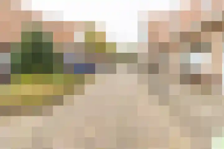 Burgemeester Strick van Linschotenstraat 12 Maarssen thumbnail 8