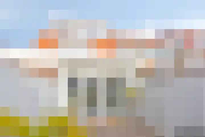 Burgemeester Strick van Linschotenstraat 47 Maarssen thumbnail 33