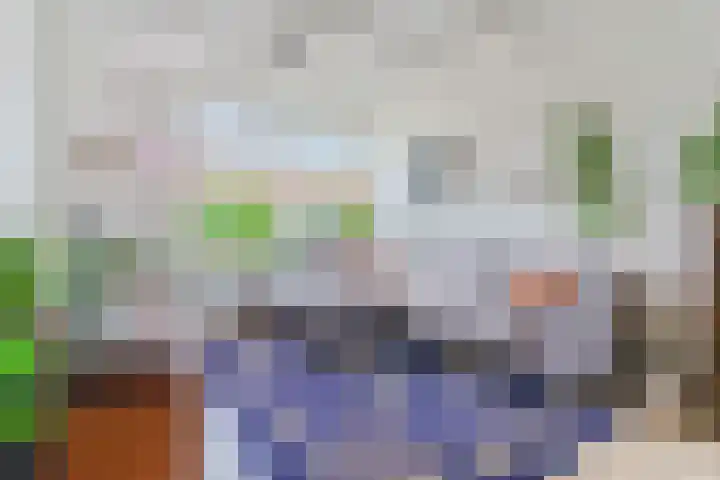 Burgemeester Strijbosstraat 17 Heeze thumbnail 6