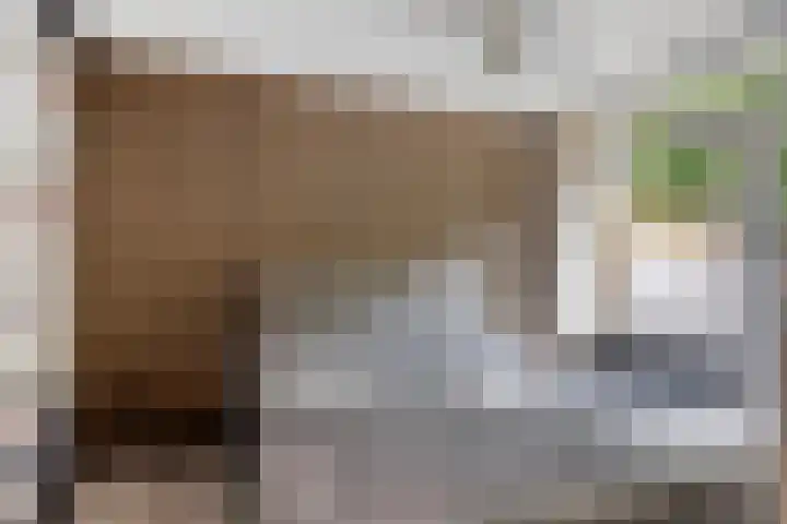 Burgemeester Stulemeijerlaan 3 Schiedam thumbnail 12