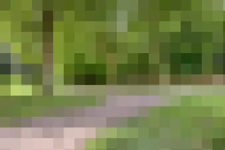 Burgemeester Stulemeijerlaan 3 Schiedam thumbnail 21