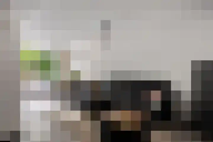 Burgemeester Stulemeijerlaan 3 Schiedam thumbnail 4