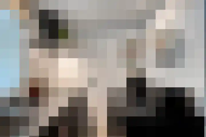 Burgemeester Stulemeijerlaan 3 Schiedam thumbnail 7