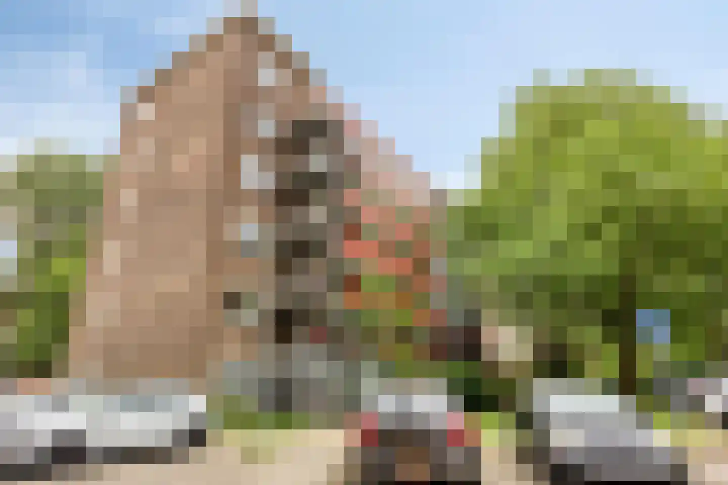 Burgemeester Stulemeijerlaan 60 Schiedam thumbnail 17