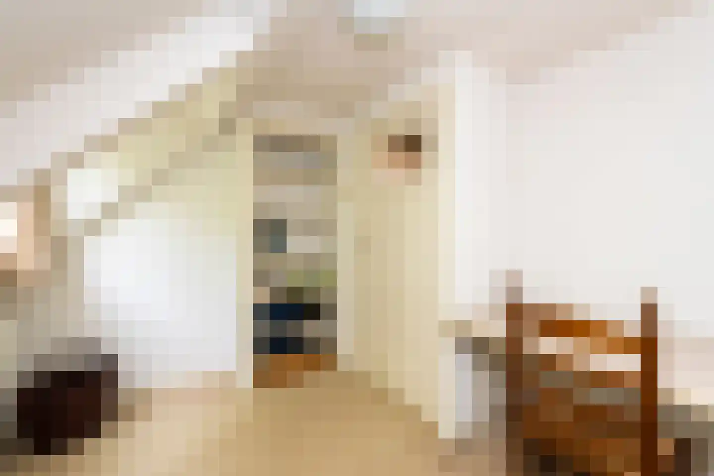 Burgemeester Suijsstraat 18 Tilburg thumbnail 37