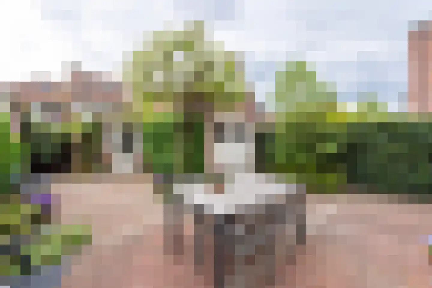 Burgemeester Suijsstraat 18 Tilburg thumbnail 38