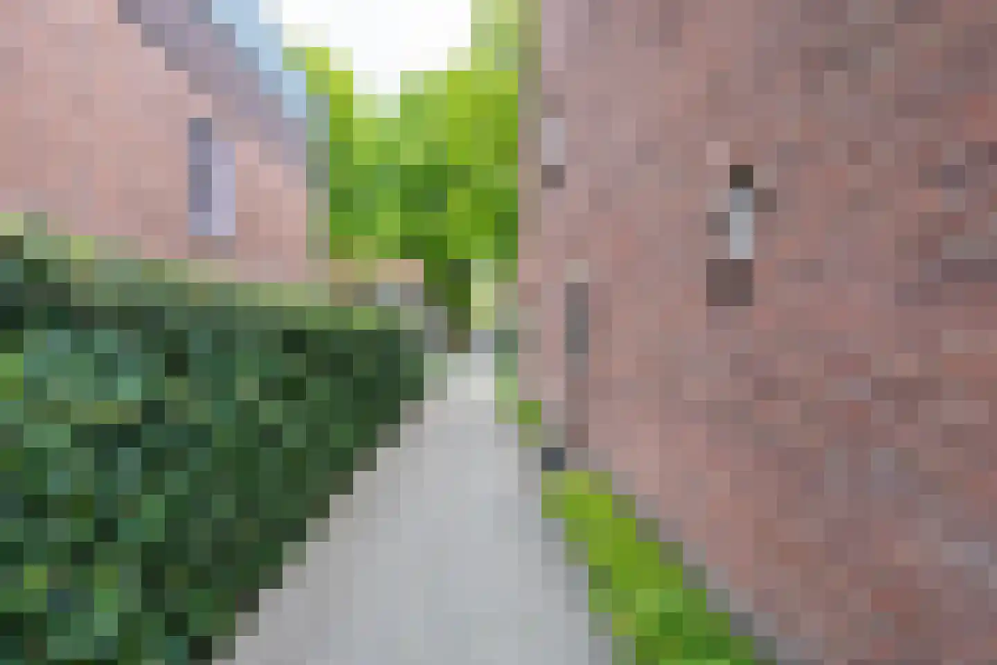 Burgemeester Suijsstraat 18 Tilburg thumbnail 8