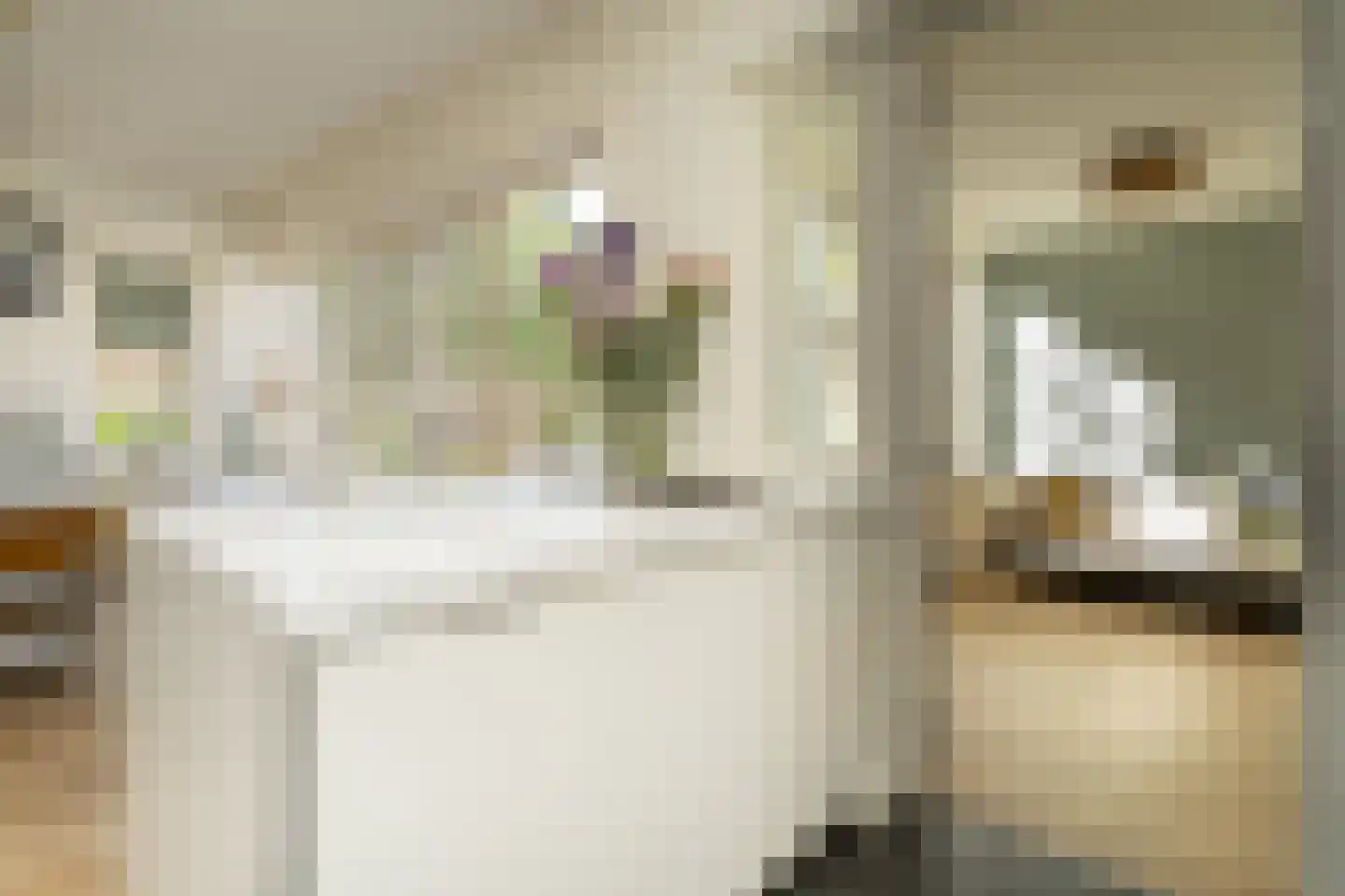 Burgemeester Suijsstraat 66 Tilburg thumbnail 17
