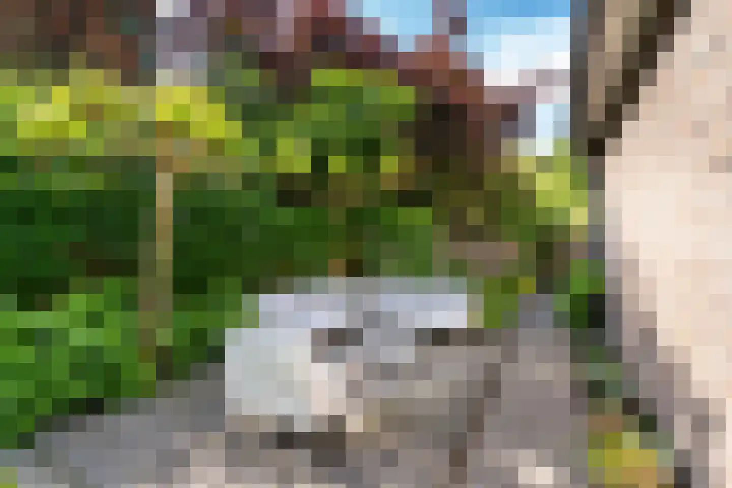 Burgemeester Suijsstraat 66 Tilburg thumbnail 36