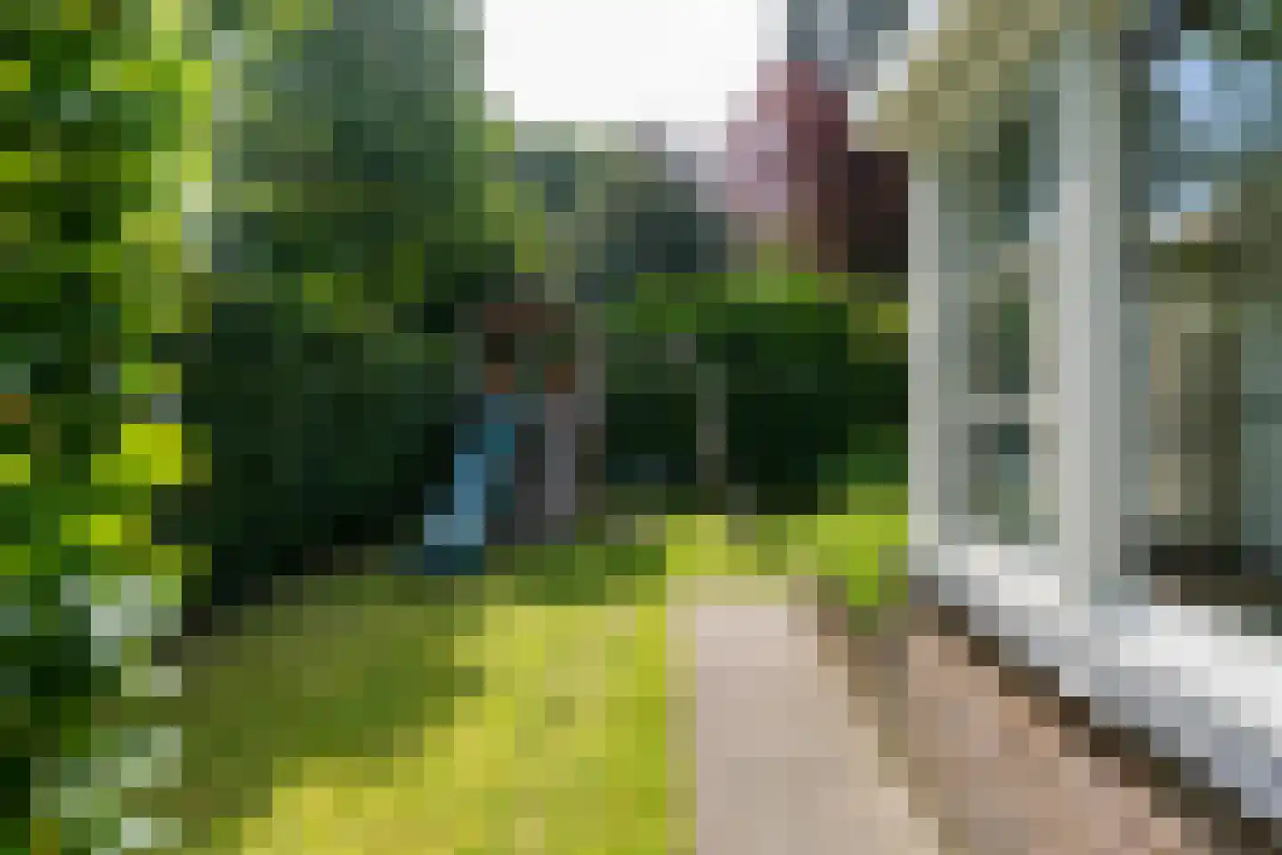Burgemeester Suijsstraat 66 Tilburg thumbnail 38