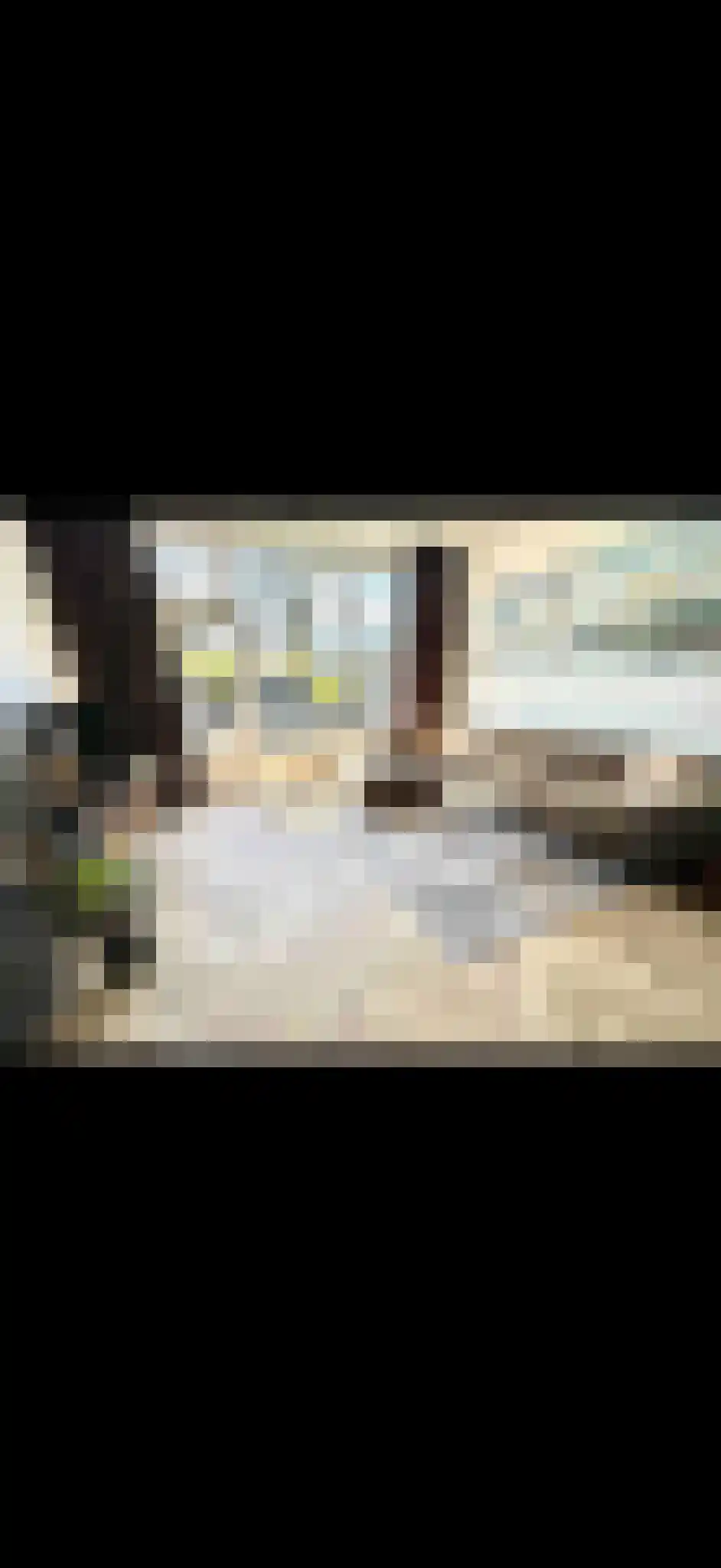 Burgemeester Sutoriusstraat 14 Breda thumbnail 4