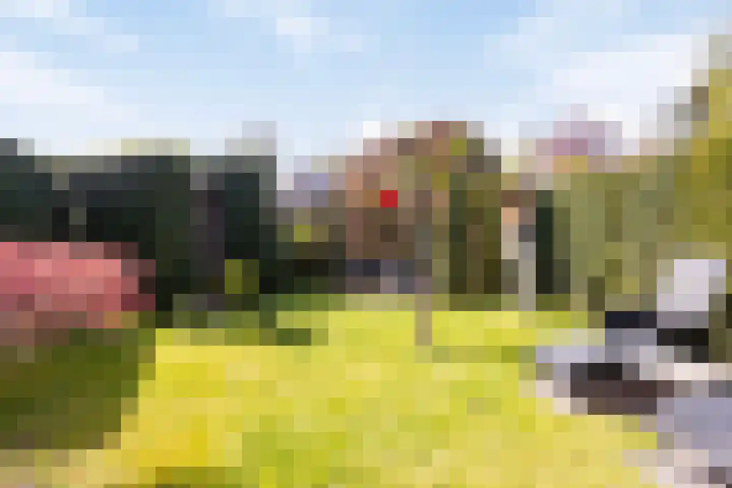 Burgemeester Suyslaan 10 Oisterwijk thumbnail 36