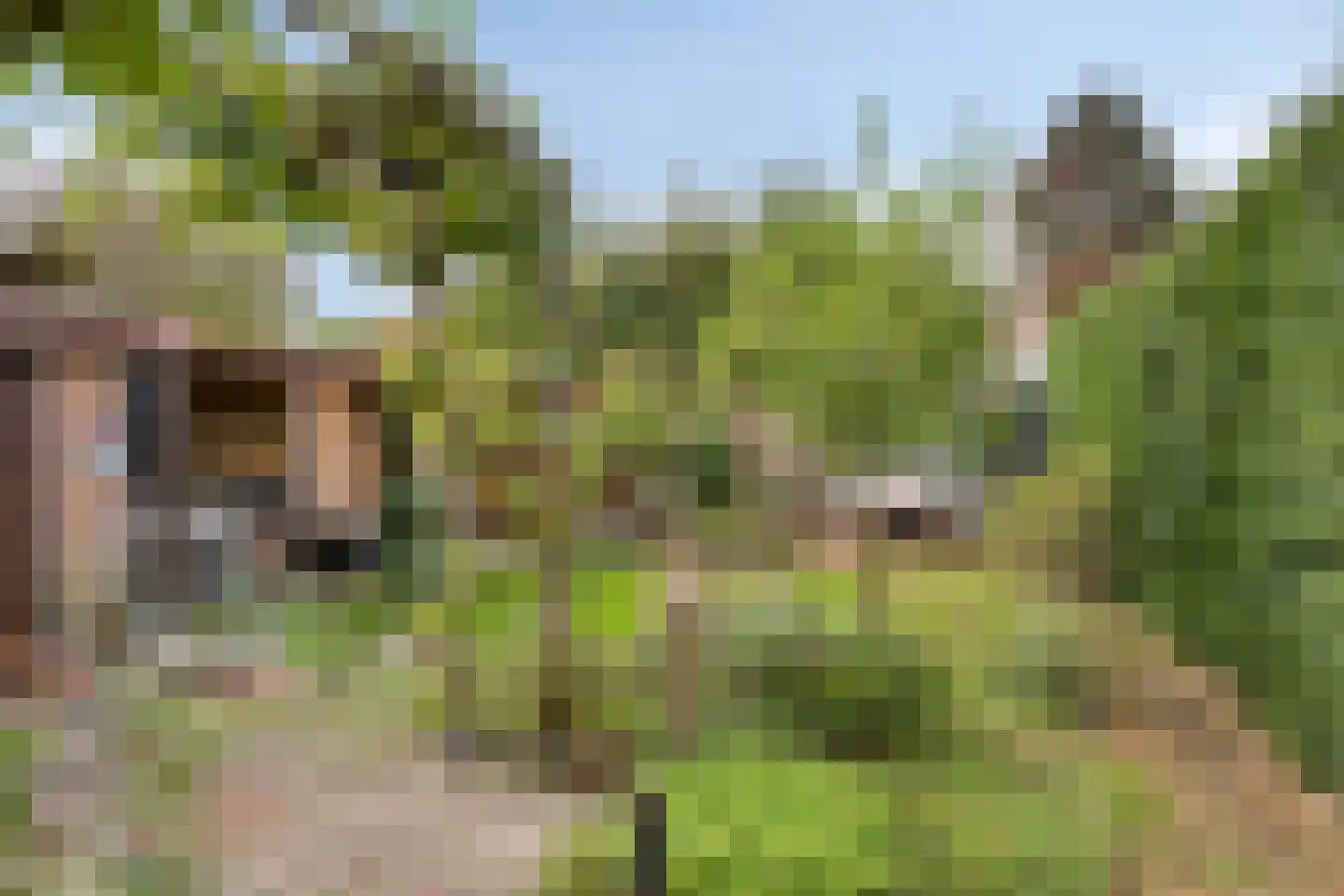 Burgemeester Suyslaan 4 Oisterwijk thumbnail 31