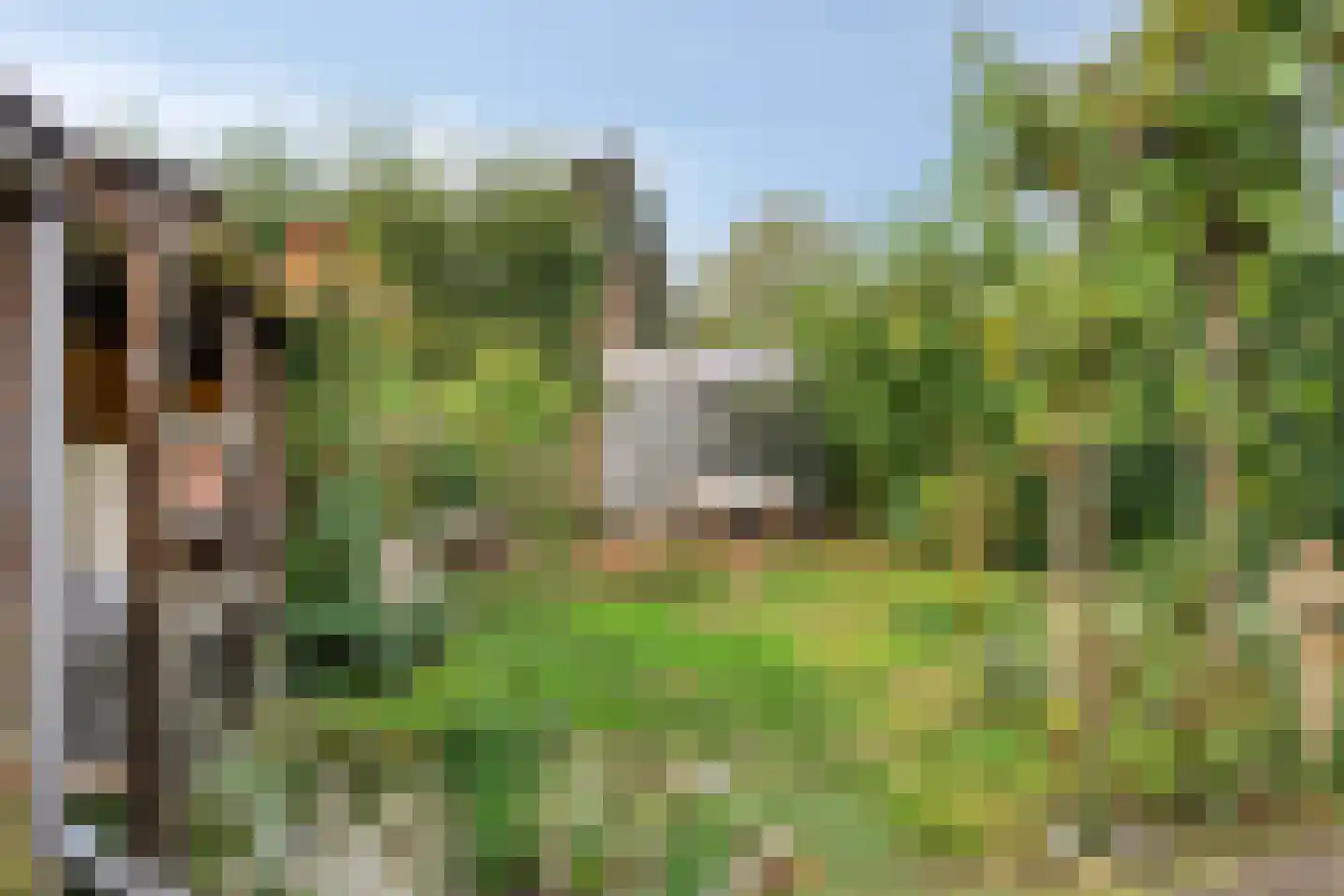 Burgemeester Suyslaan 4 Oisterwijk thumbnail 32