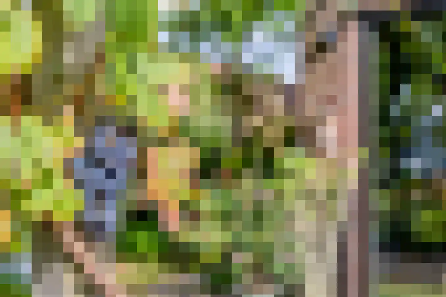 Burgemeester Suyslaan 4 Oisterwijk thumbnail 35