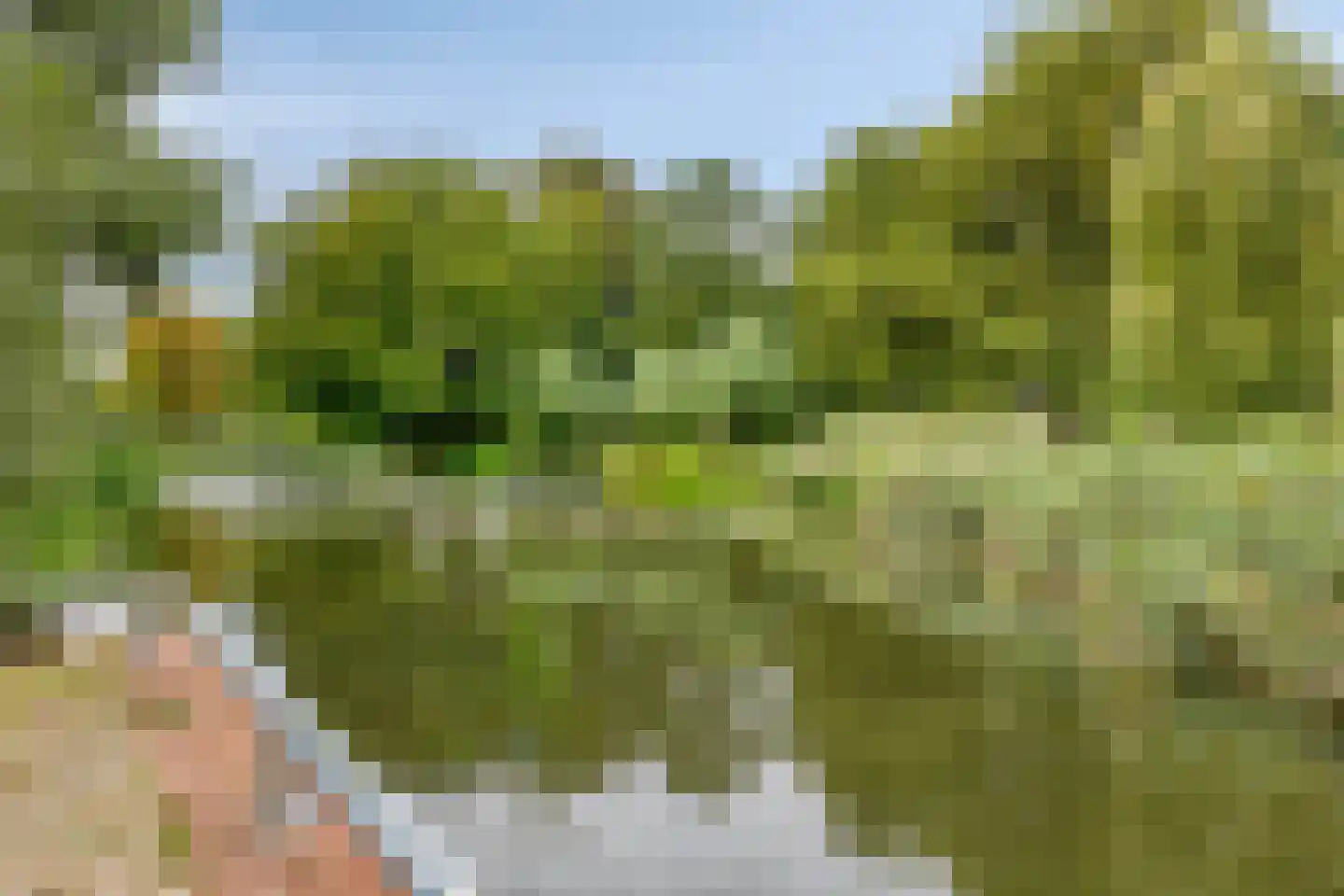 Burgemeester Suyslaan 4 Oisterwijk thumbnail 37