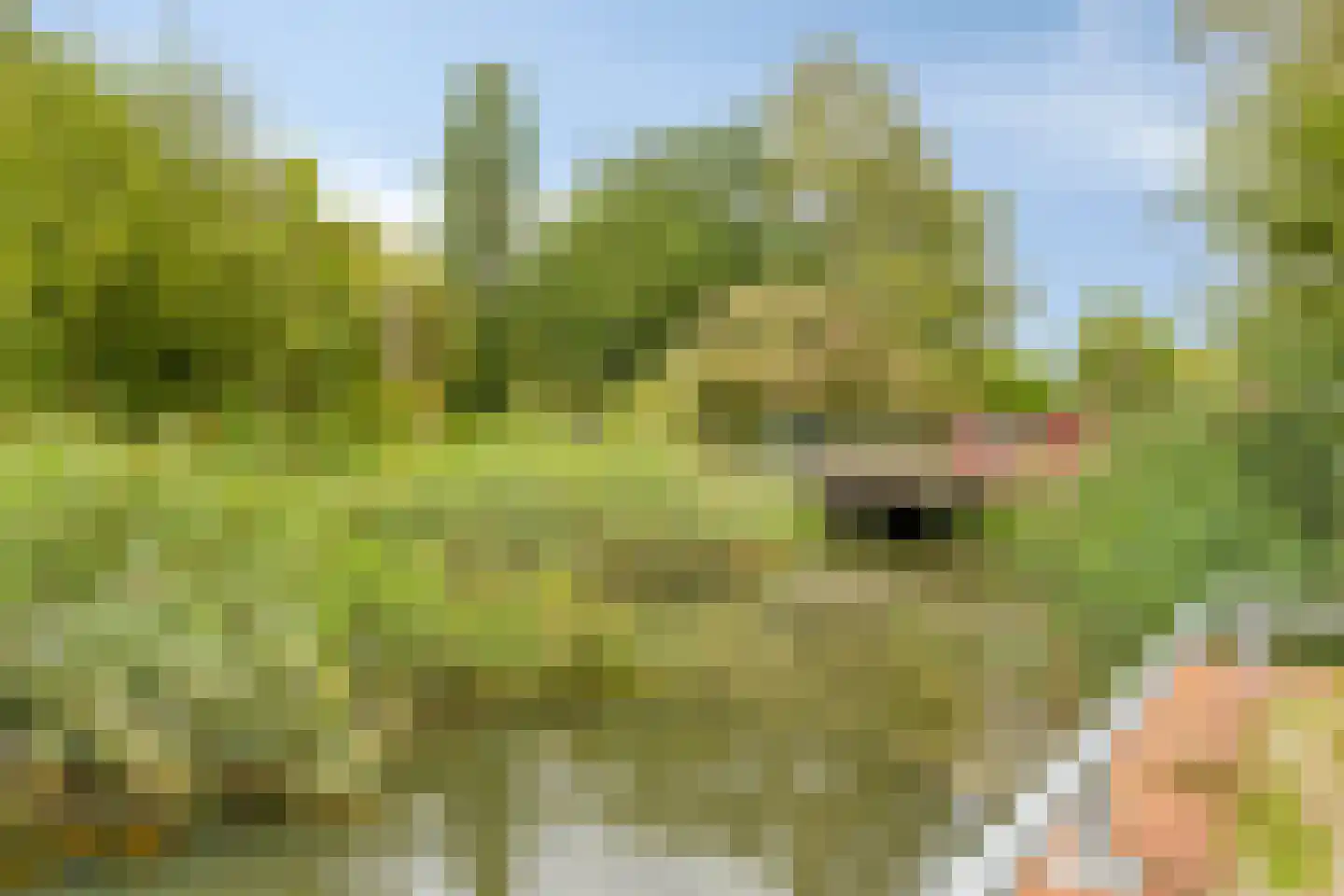 Burgemeester Suyslaan 4 Oisterwijk thumbnail 38