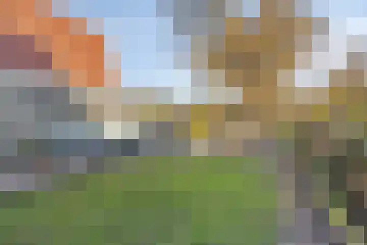 Burgemeester Swartstraat 2 a Oostzaan thumbnail 36