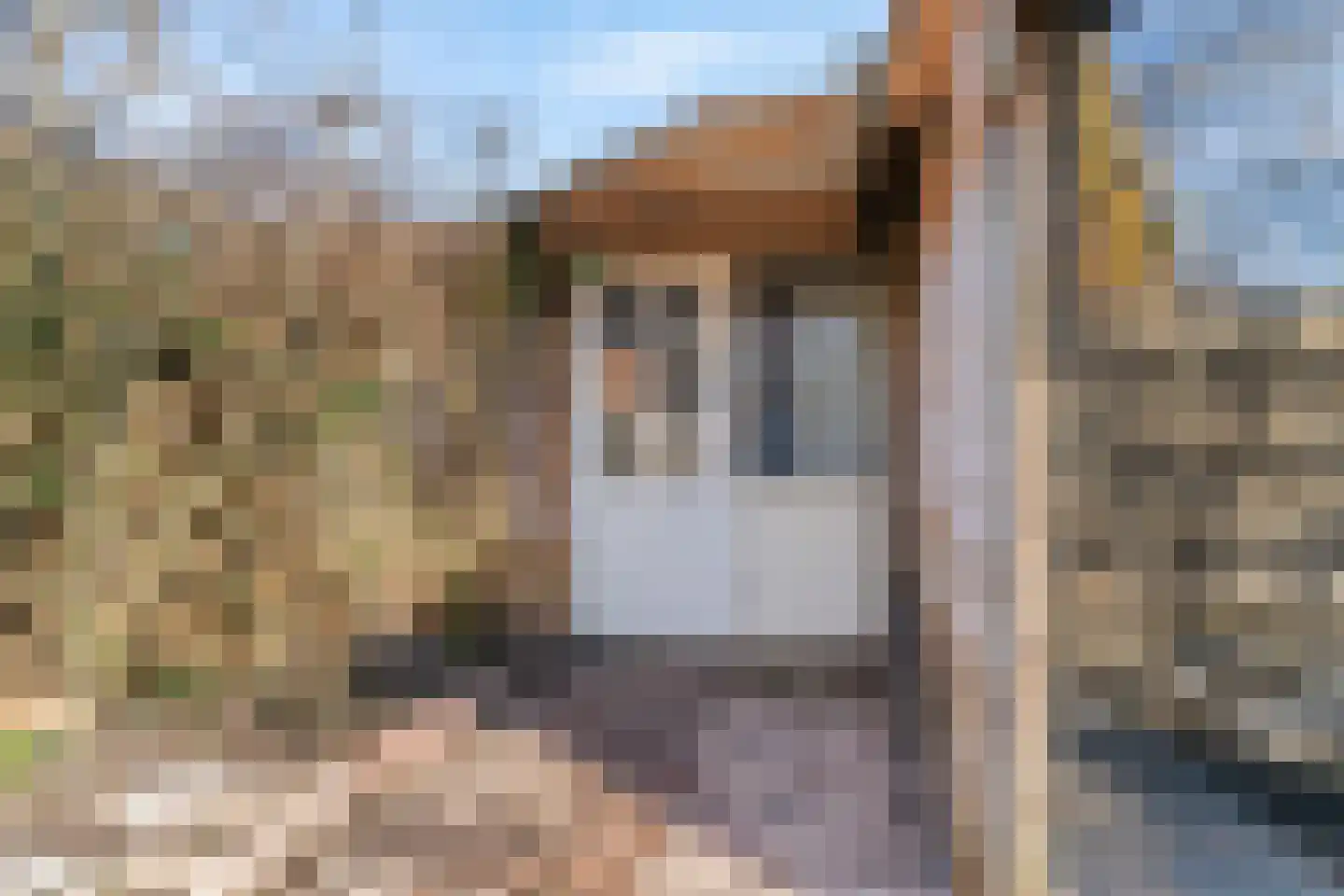 Burgemeester Swartstraat 2 b Oostzaan thumbnail 42