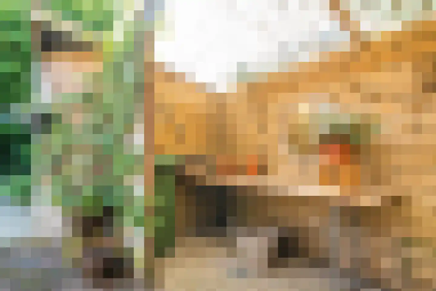 Burgemeester Swartstraat 2 Oostzaan thumbnail 35