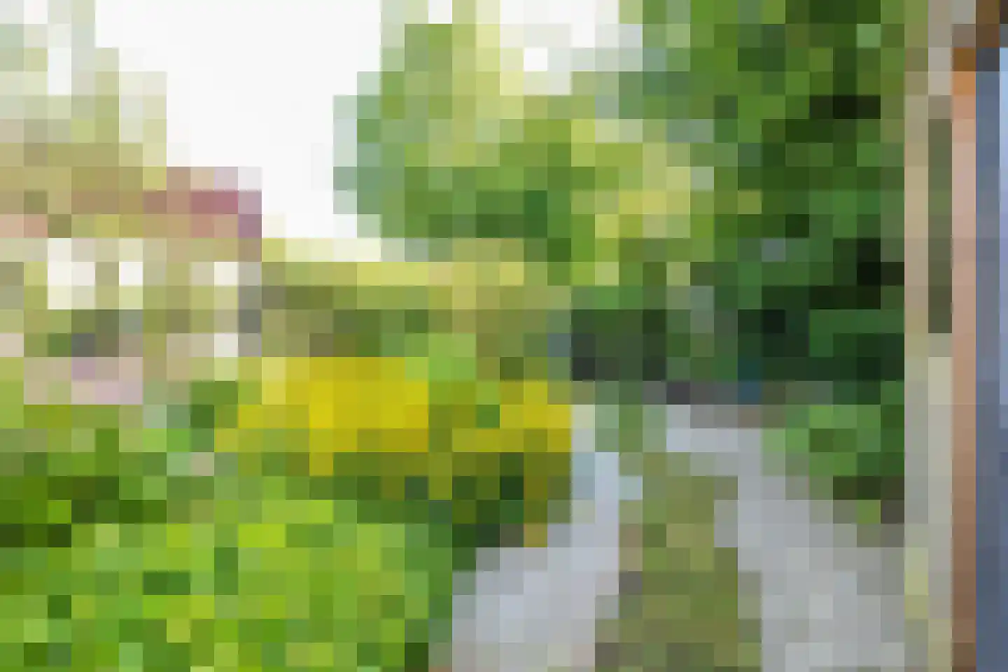 Burgemeester Swartstraat 2 Oostzaan thumbnail 38
