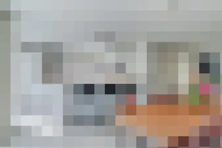 Burgemeester Sweensplein 21 Rijen thumbnail 17