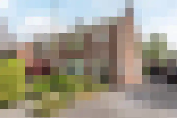 Burgemeester Sweensplein 21 Rijen thumbnail 4