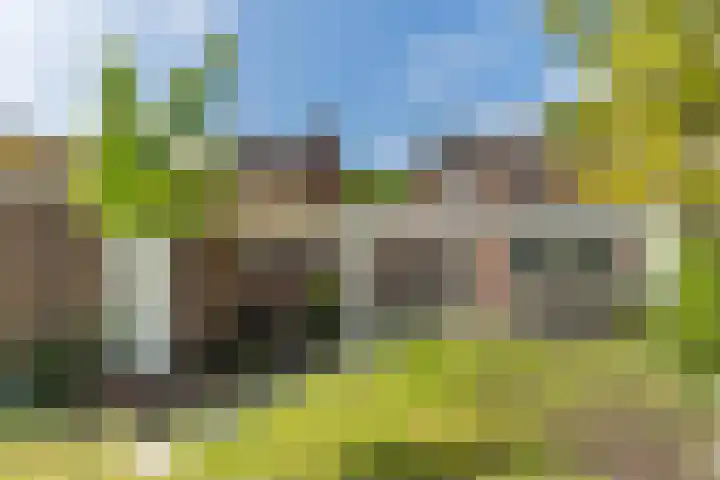 Burgemeester Sweensplein 21 Rijen thumbnail 40
