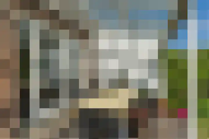 Burgemeester Sweensplein 21 Rijen thumbnail 41