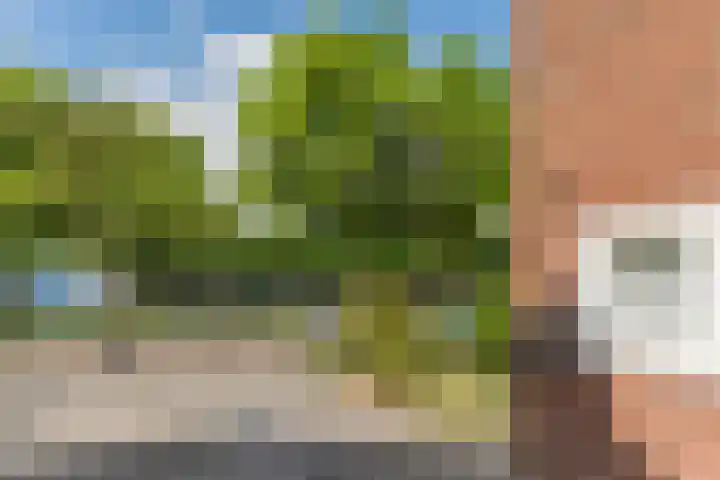 Burgemeester Sweensplein 21 Rijen thumbnail 42