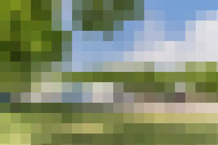 Burgemeester Sweensplein 21 Rijen thumbnail 43