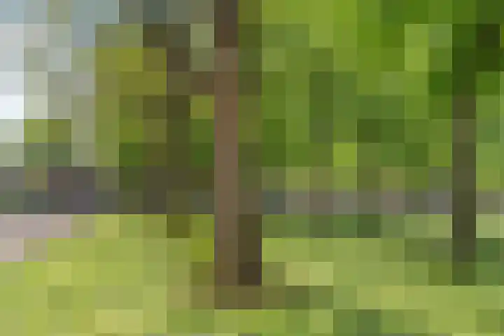 Burgemeester Sweensplein 21 Rijen thumbnail 44