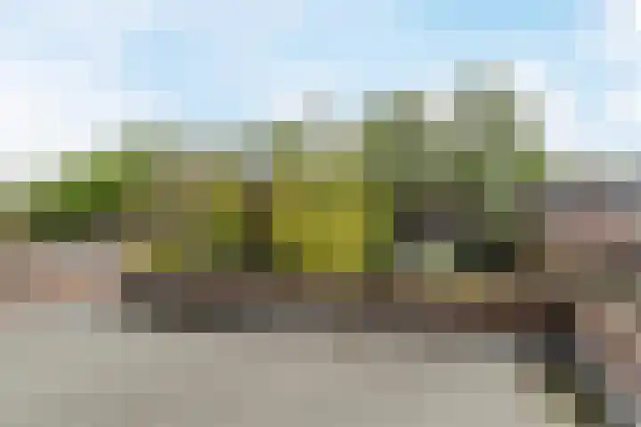 Burgemeester Sweensplein 21 Rijen thumbnail 46