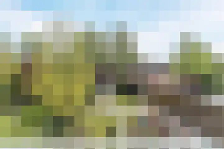 Burgemeester Sweensplein 21 Rijen thumbnail 47