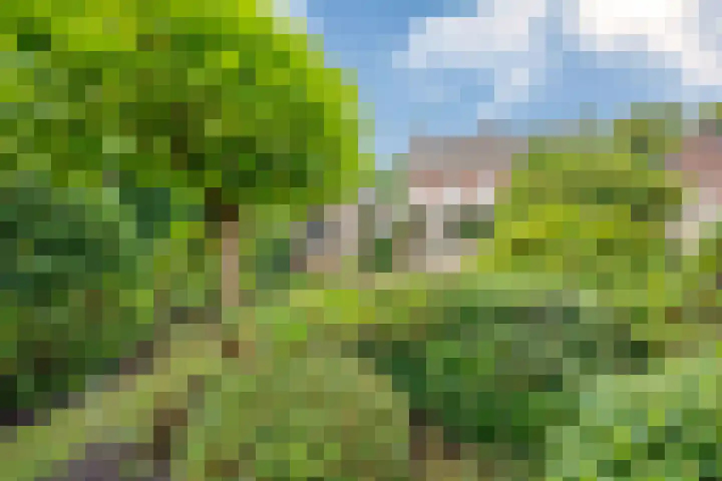 Burgemeester Sweensplein 23 Rijen thumbnail 4