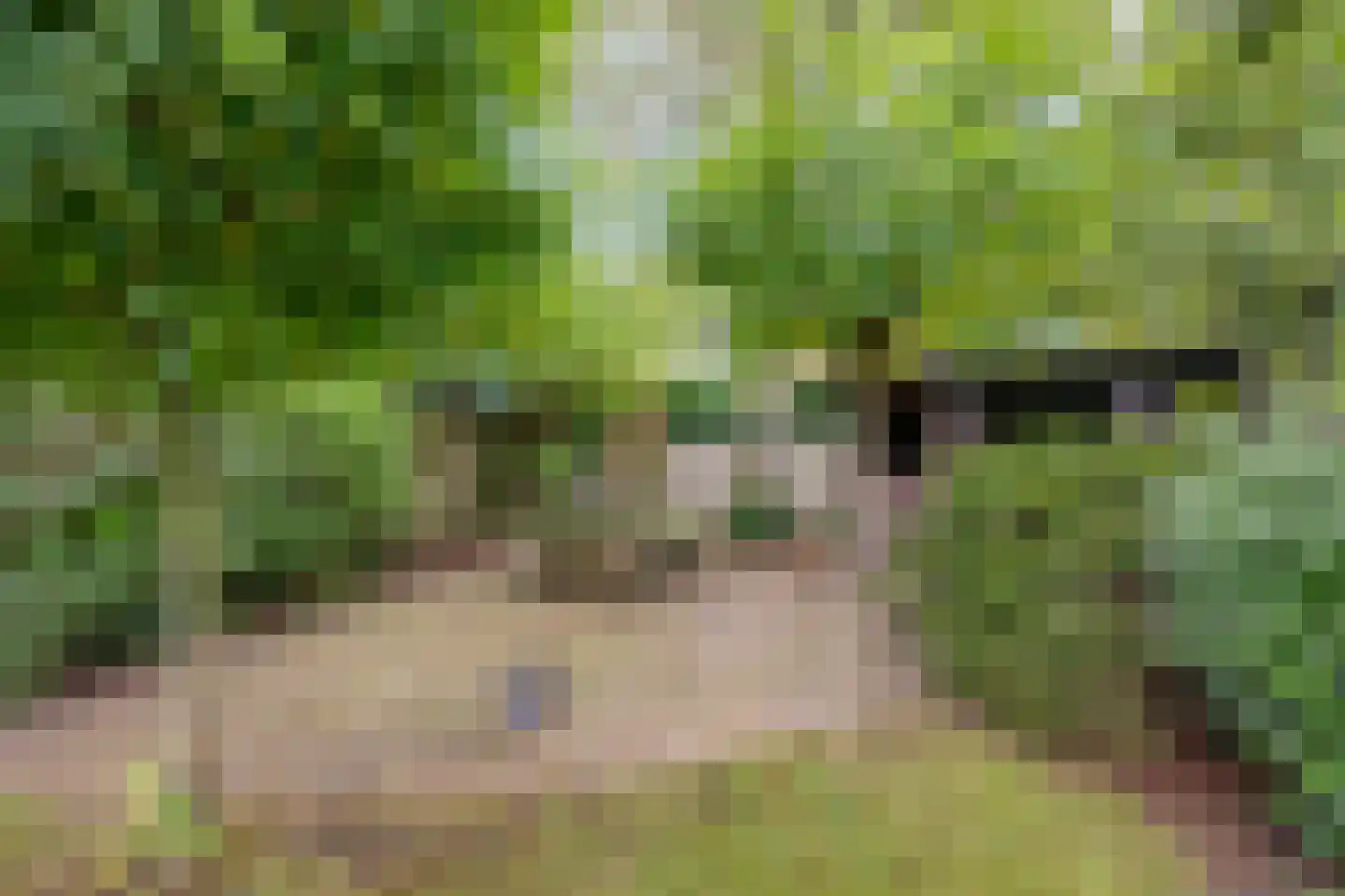 Burgemeester Sweensplein 23 Rijen thumbnail 52