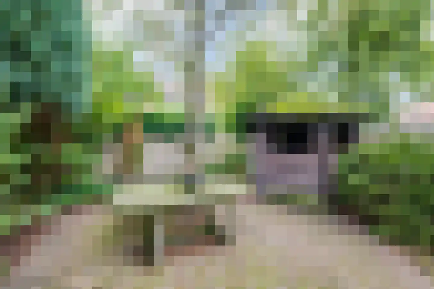 Burgemeester Sweensplein 23 Rijen thumbnail 53