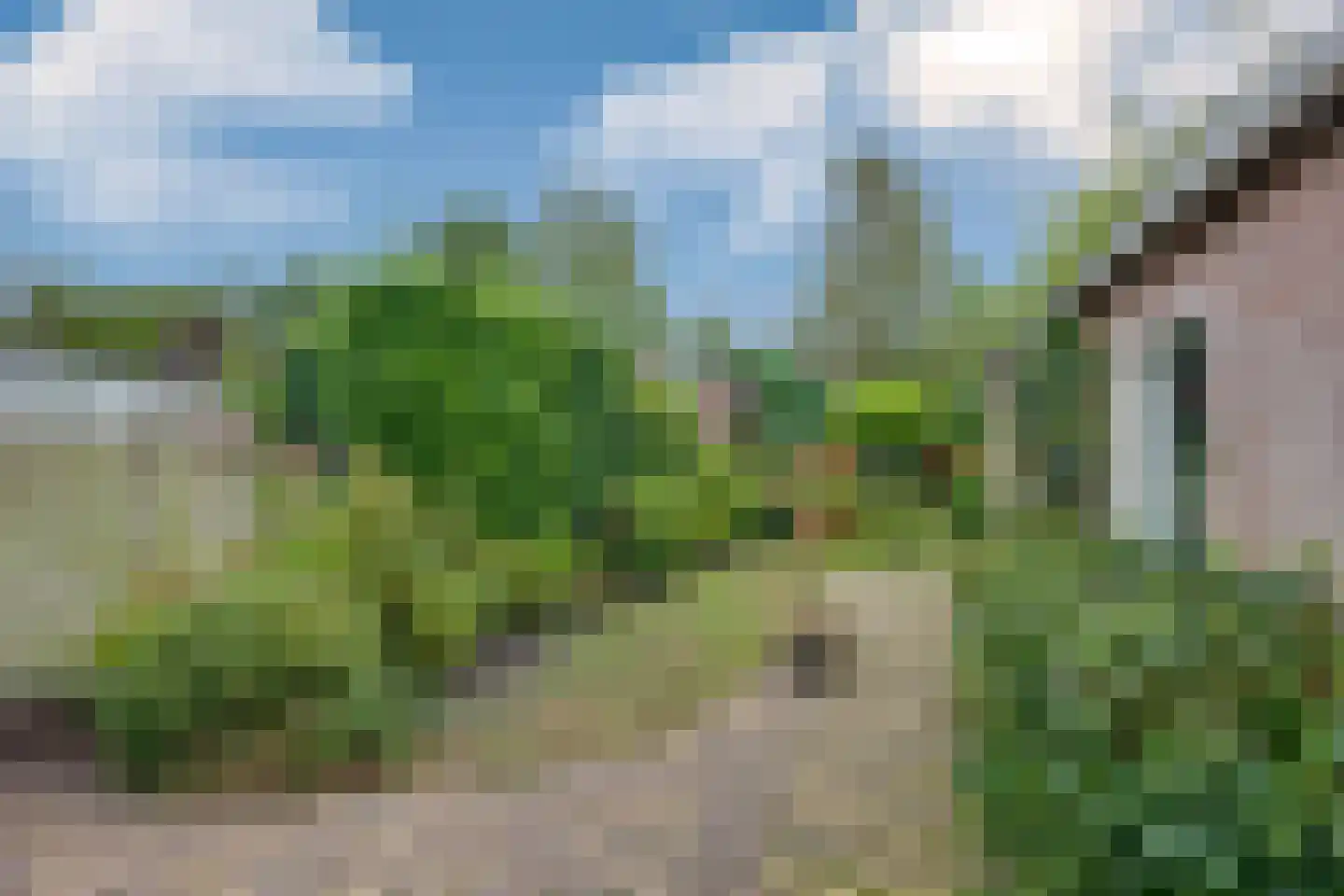 Burgemeester Sweensplein 23 Rijen thumbnail 54