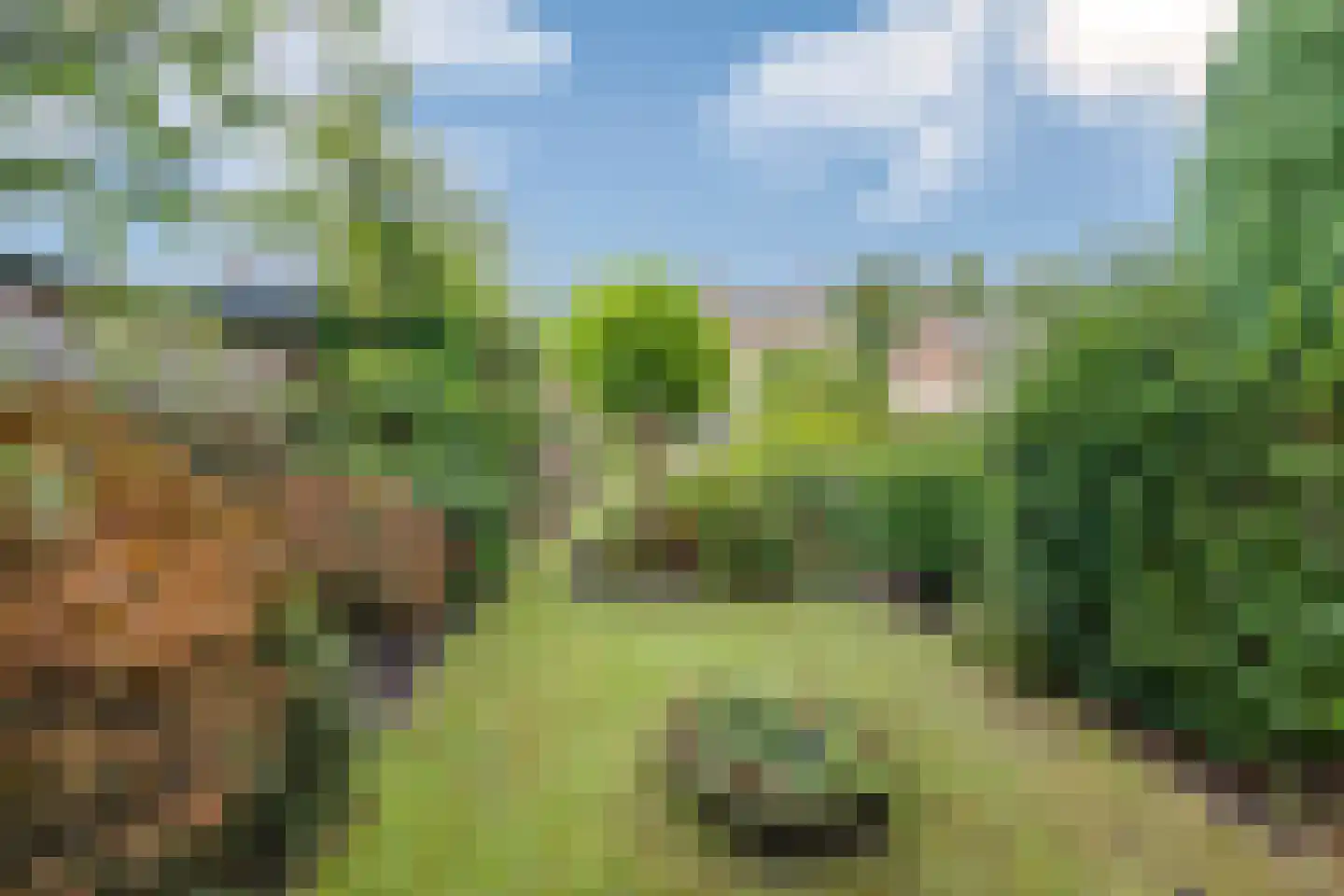 Burgemeester Sweensplein 23 Rijen thumbnail 56