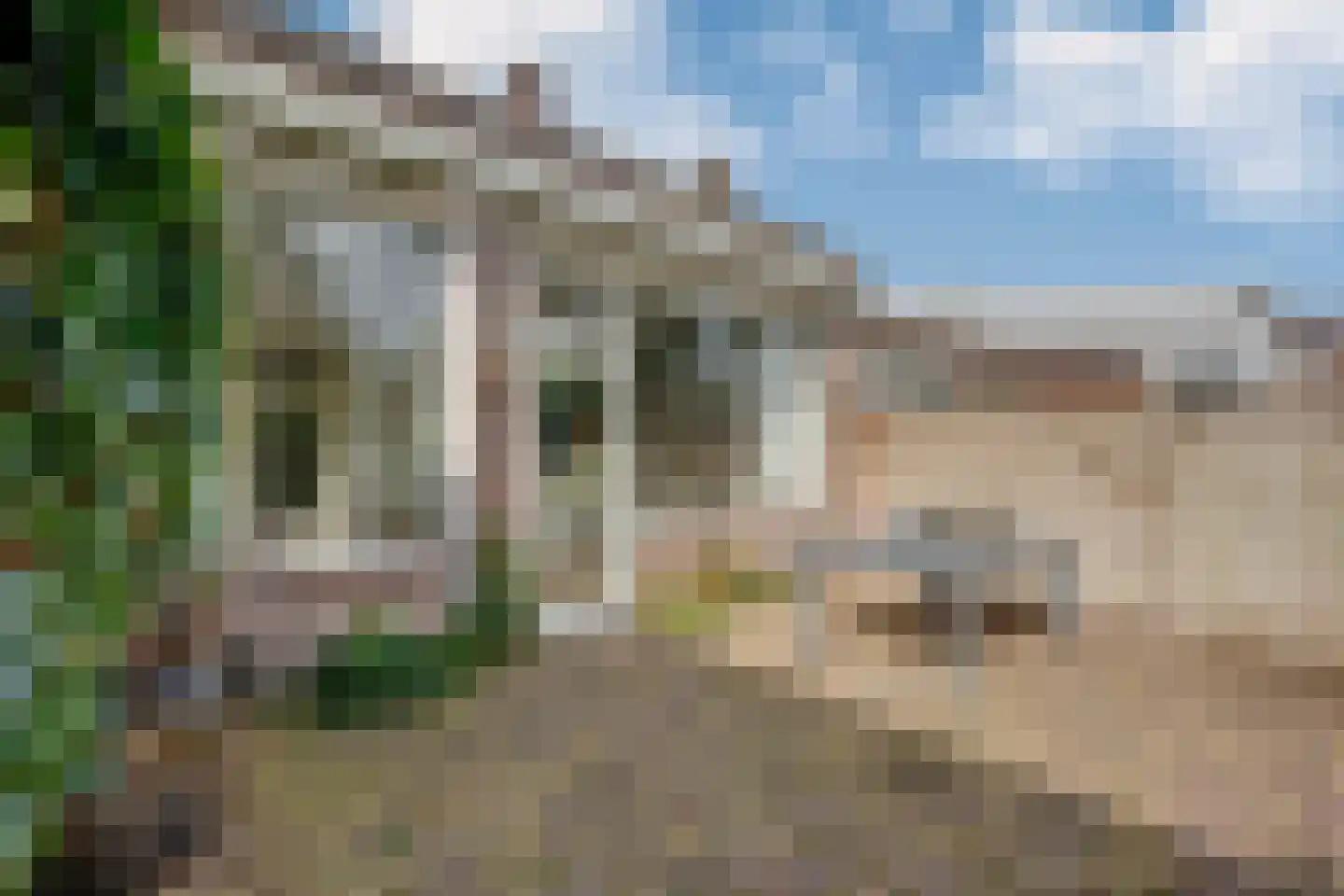 Burgemeester Sweensplein 23 Rijen thumbnail 57