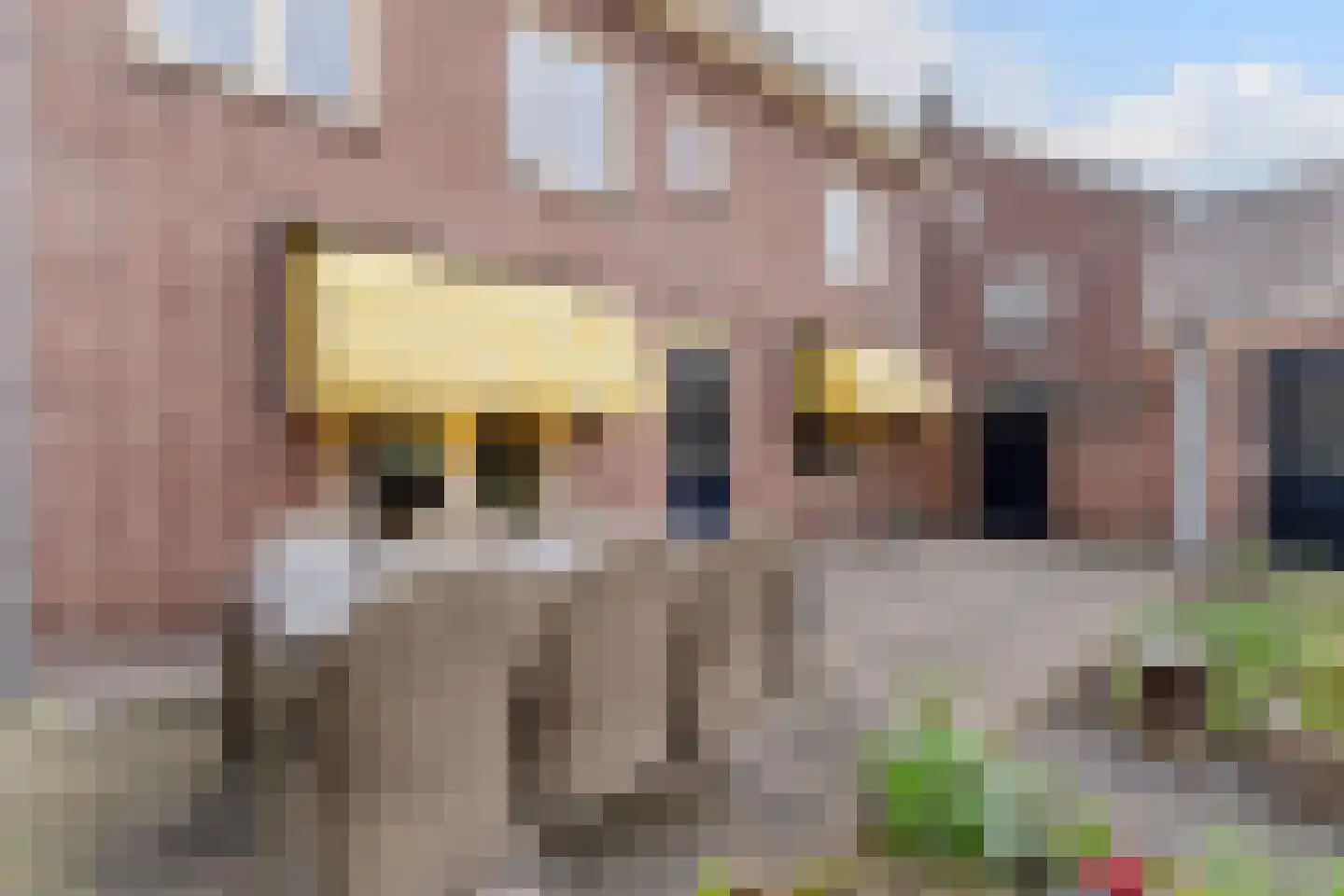 Burgemeester Sweensplein 26 Rijen thumbnail 19