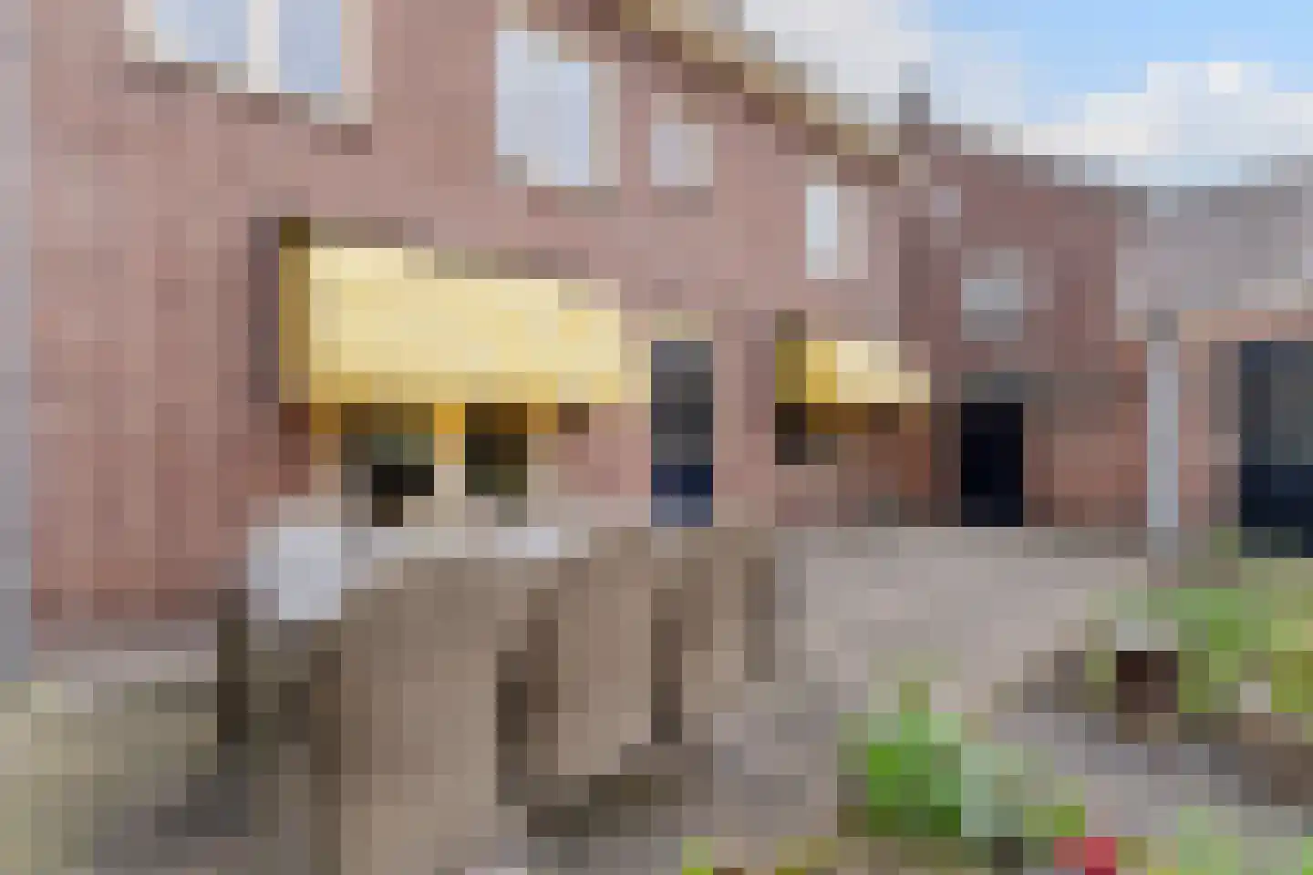Burgemeester Sweensplein 26 Rijen thumbnail 23