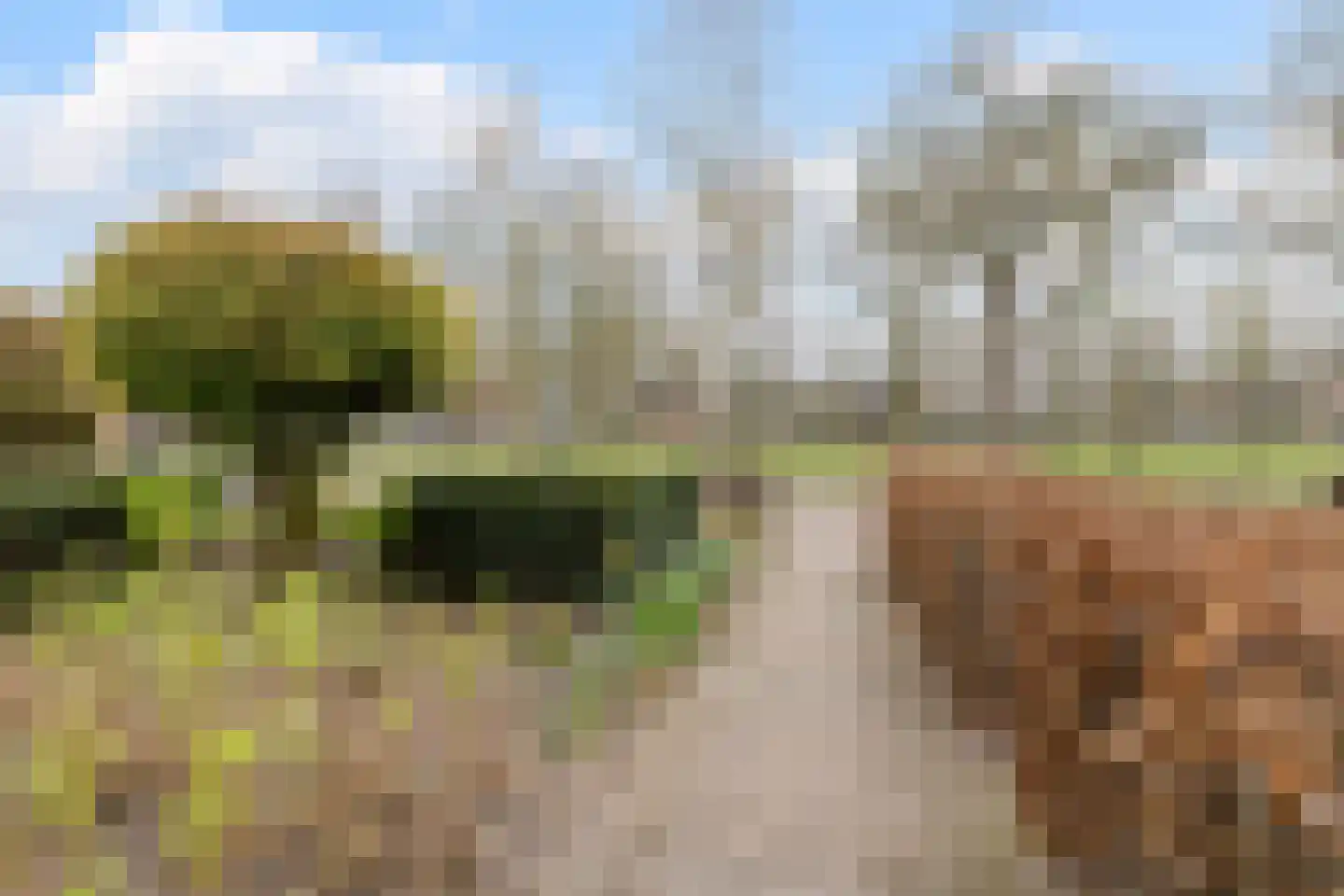 Burgemeester Sweensplein 26 Rijen thumbnail 49