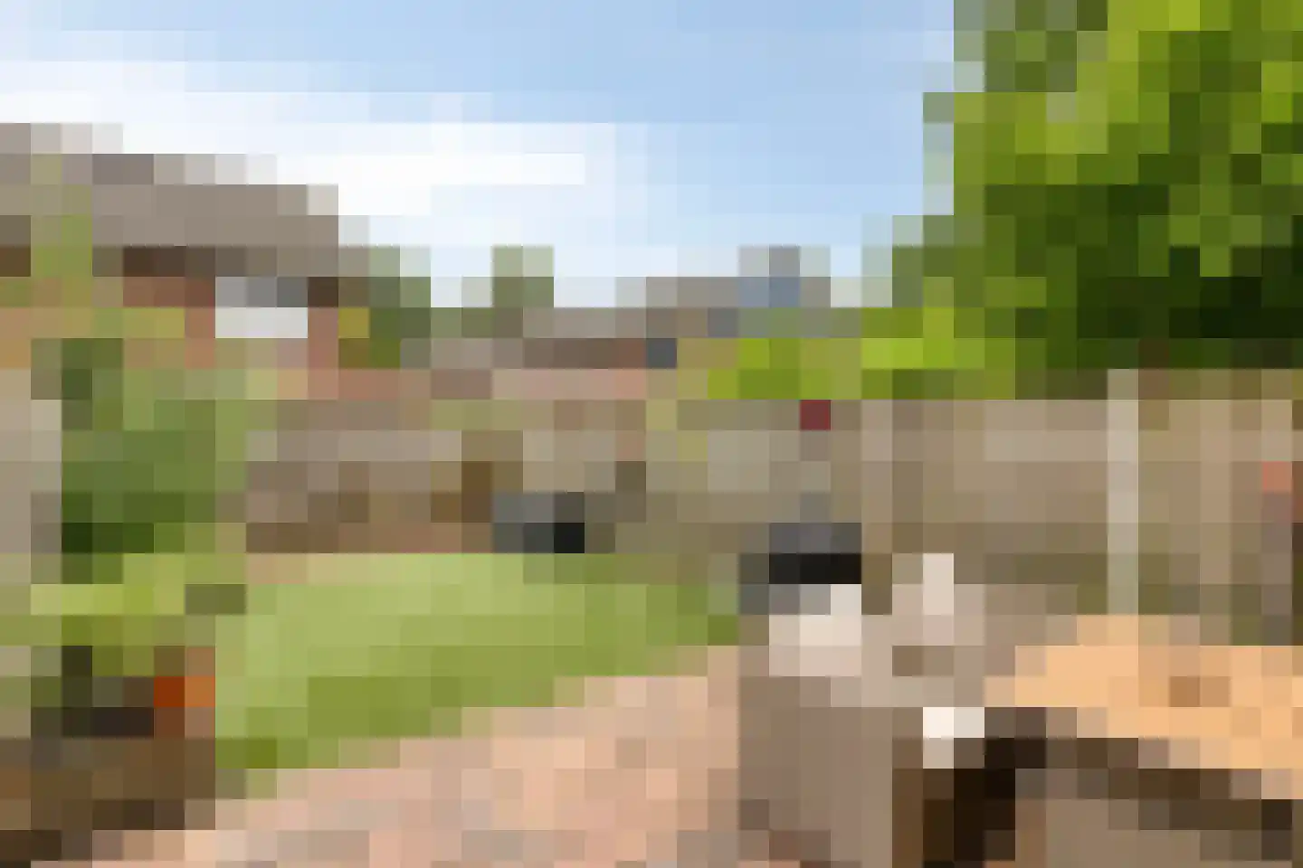 Burgemeester Sweensstraat 1 Helmond thumbnail 35