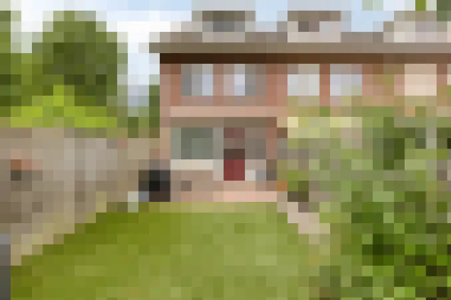 Burgemeester Sweensstraat 1 Helmond thumbnail 6