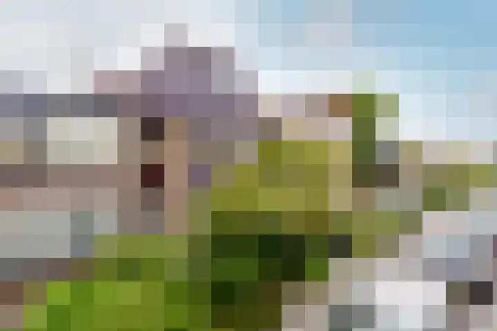 Burgemeester Teerstraat 17 Oostzaan thumbnail 4